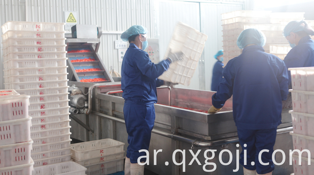 GMP Factory Supply Goji Juice